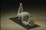 Fanny and the Assets 2 exercise DVD